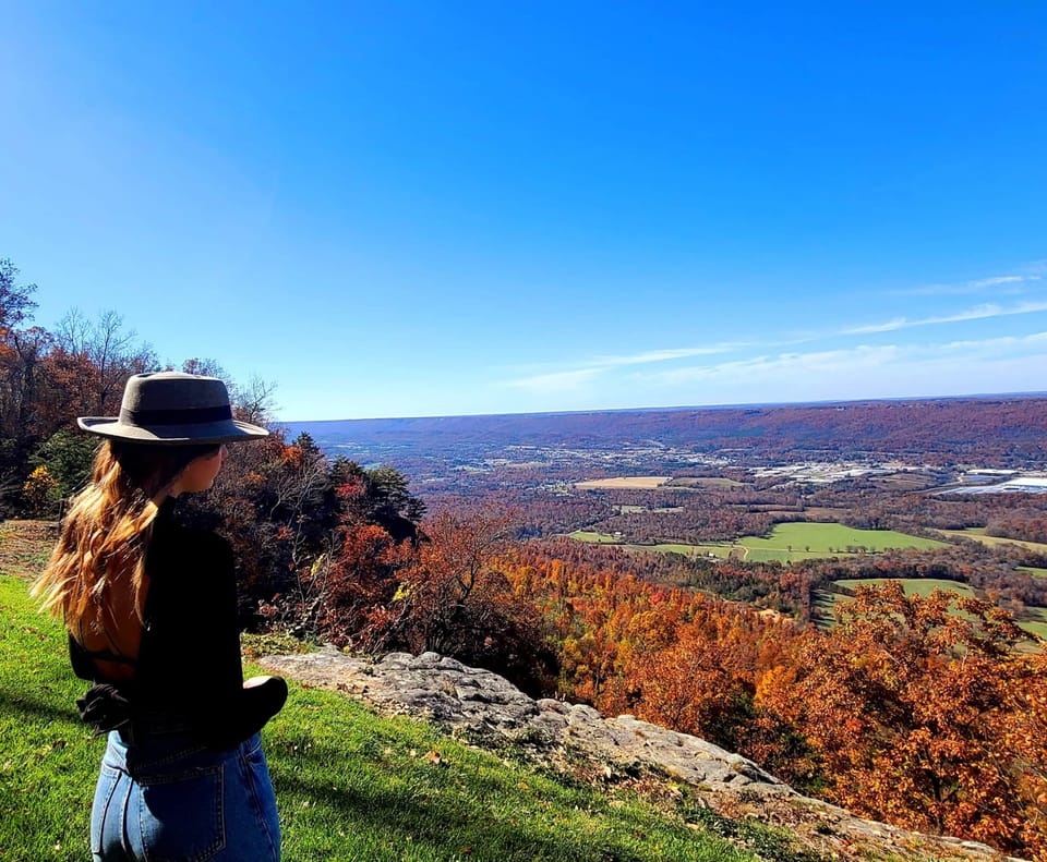 Amazing Views
