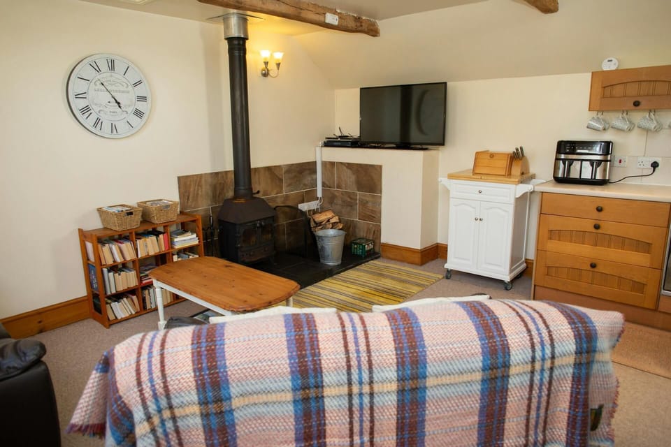 Living area with TV and wood burner