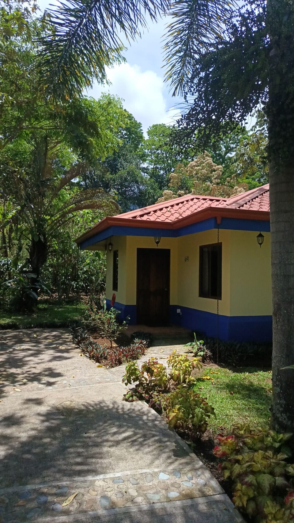 Catimor Villa