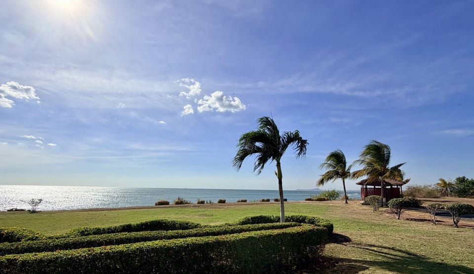 Oceanview from the Backyard