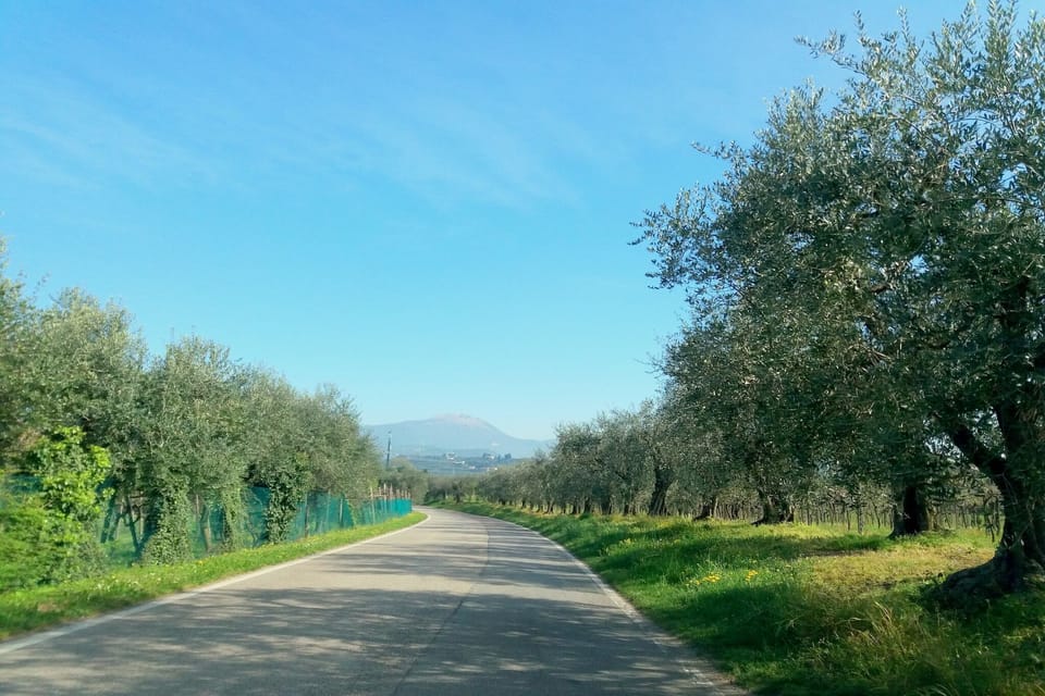 Immediate Surroundings [summer] (<1 km)