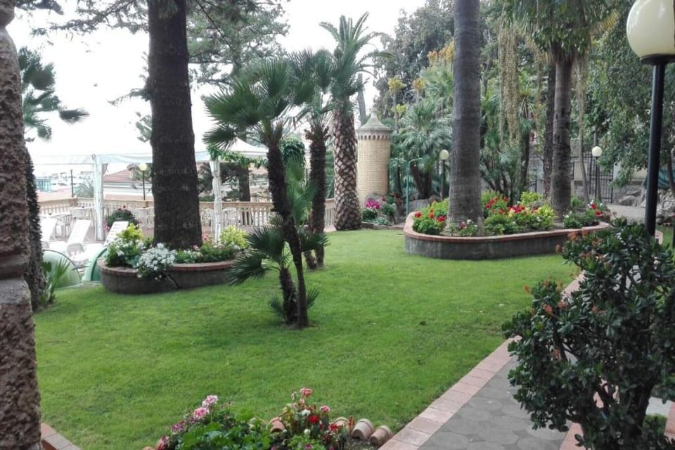 Garden [summer]