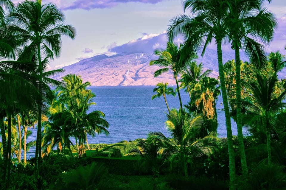 Maui inspired photo.