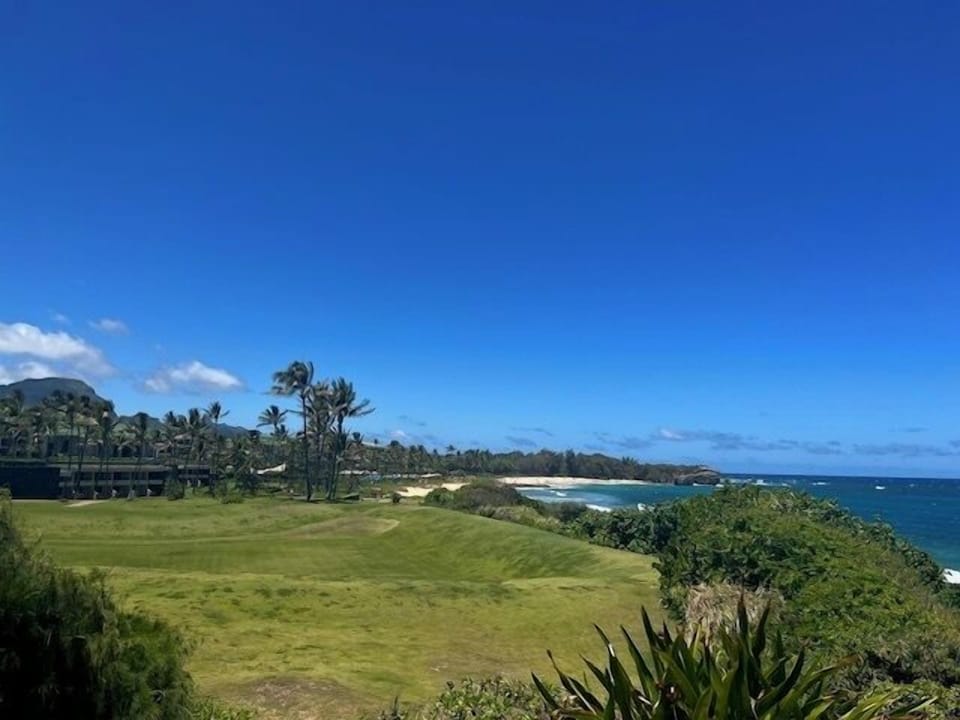 Breathtaking views of the coastline where the waves kiss the shore and nature thrives. 