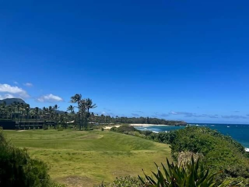 Breathtaking views of the coastline where the waves kiss the shore and nature thrives. 