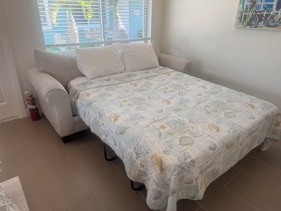 additional sleeper couch