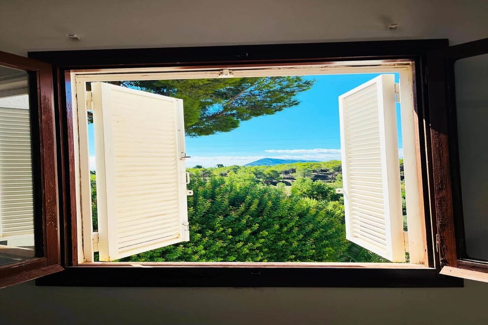 View from Holiday Home [summer]