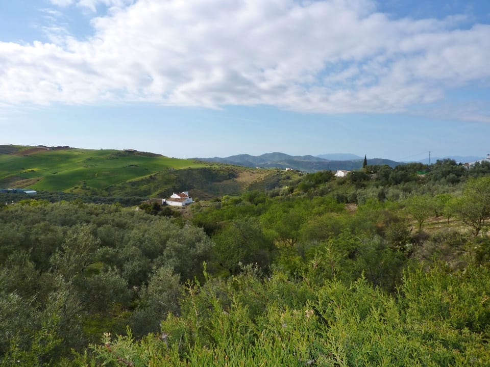 View from Holiday Home [summer]