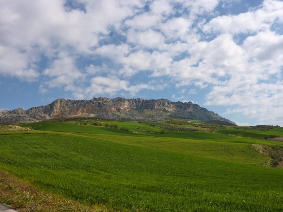 Surroundings [summer] (1-5 km)