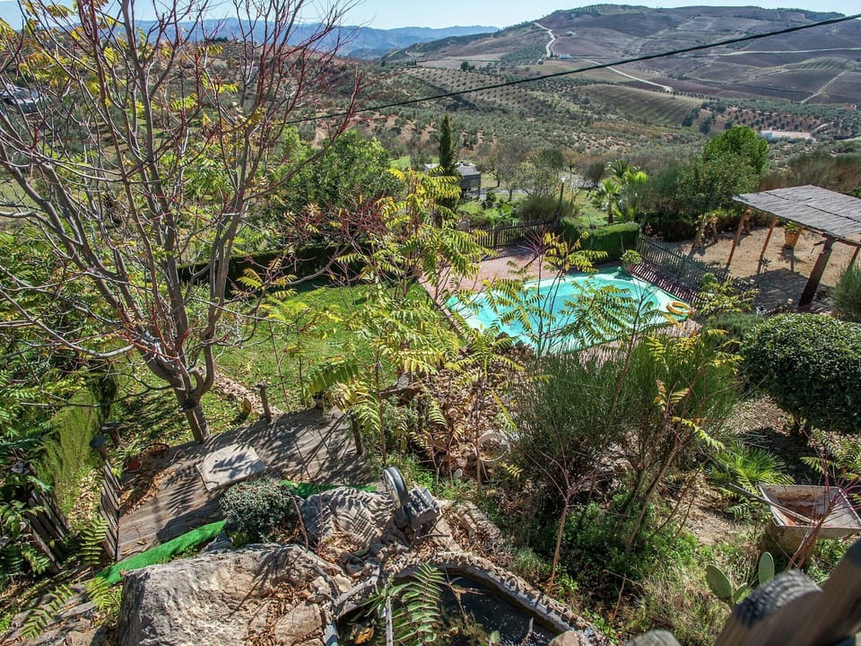 Holiday Home Swimming Pool