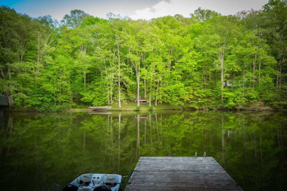 Perfect for morning coffee or evening reflections, this dock offers serene lake views framed by a peaceful forest backdrop.