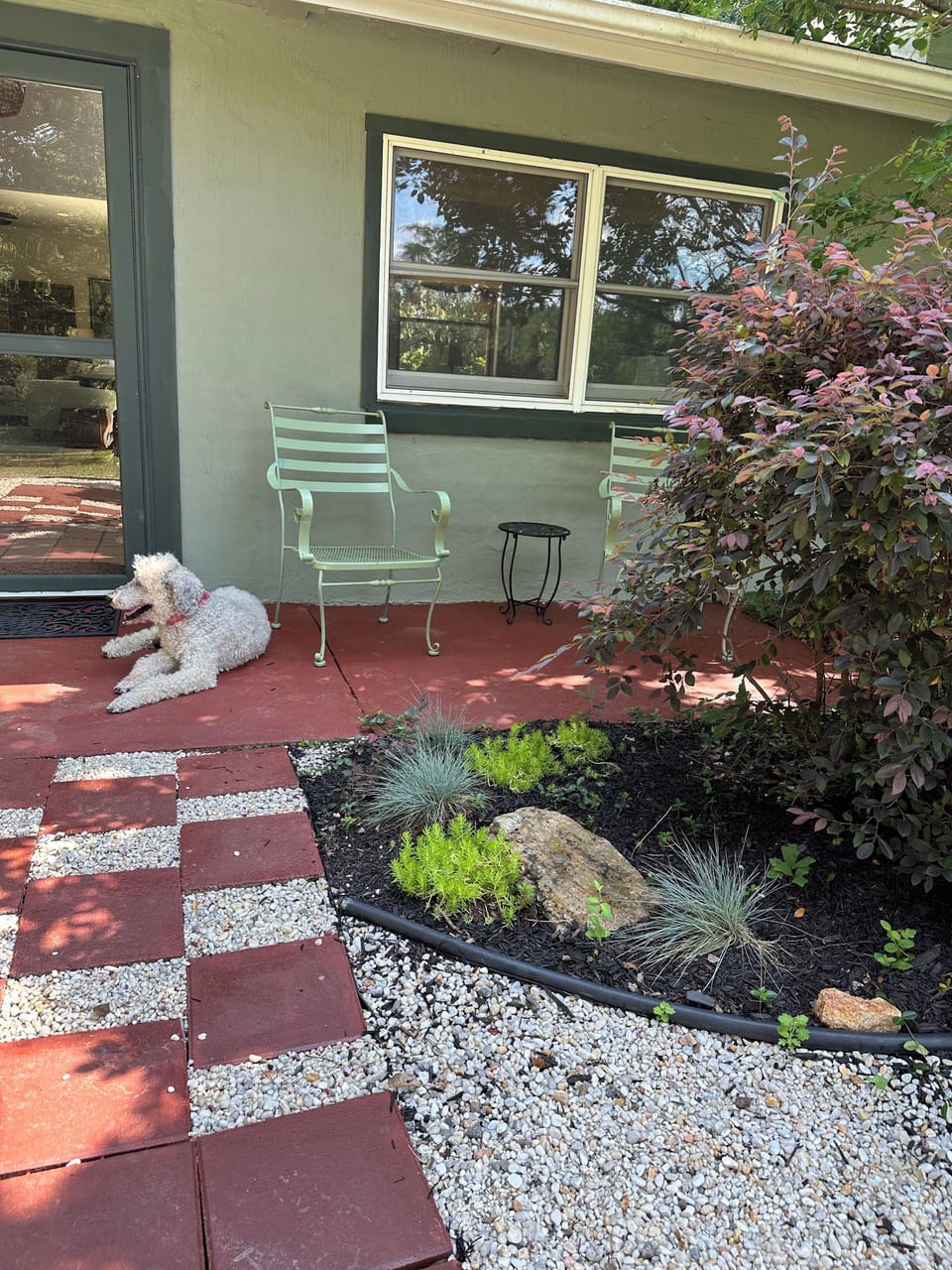 Front entrance .... Zoe my standard poodle was just visiting. We live in another