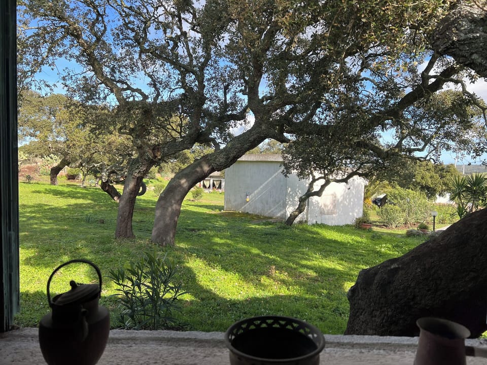 View from property