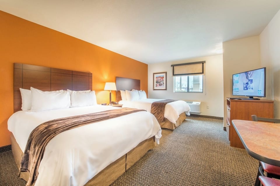 Stretch out after adventures in a warm, inviting room.