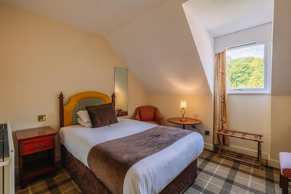Wake up to treetop views and a calm, cozy atmosphere.