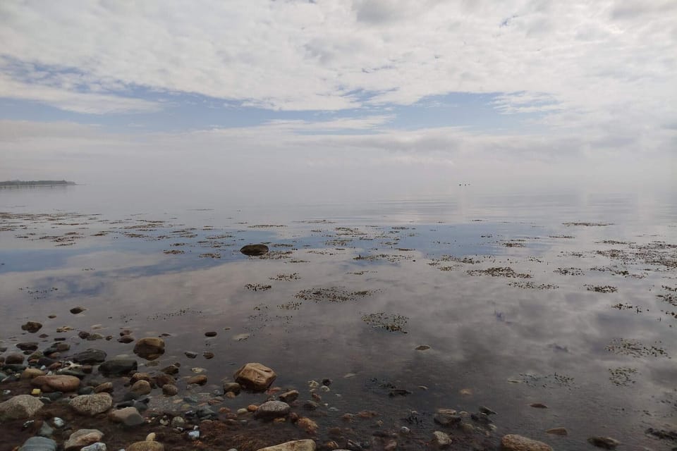 Water view