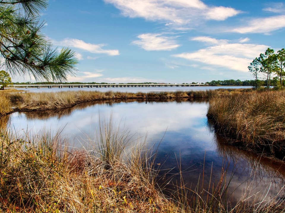 Explore Camp Helen State Park