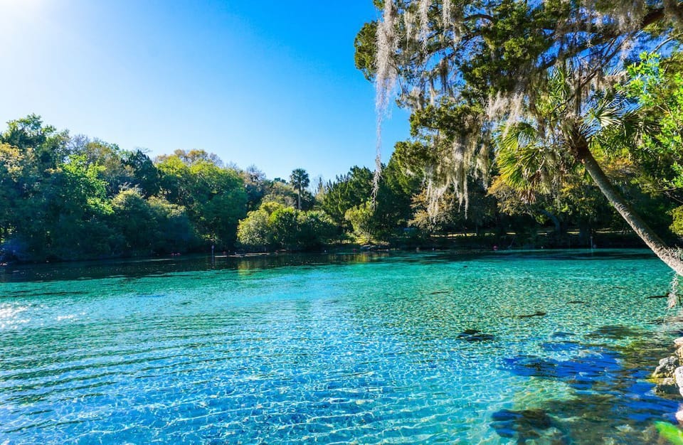 Soak in crystal-clear waters and savor a refreshing nature escape.