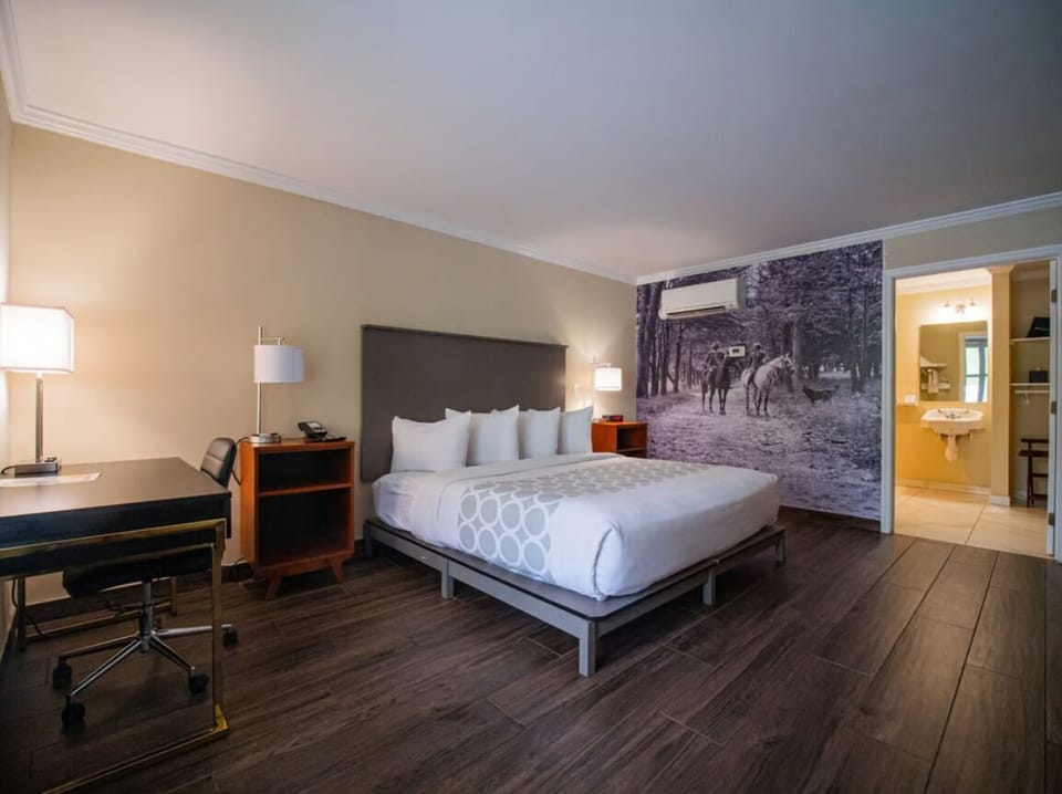 Unwind in a spacious room with crisp linens and warm lighting.