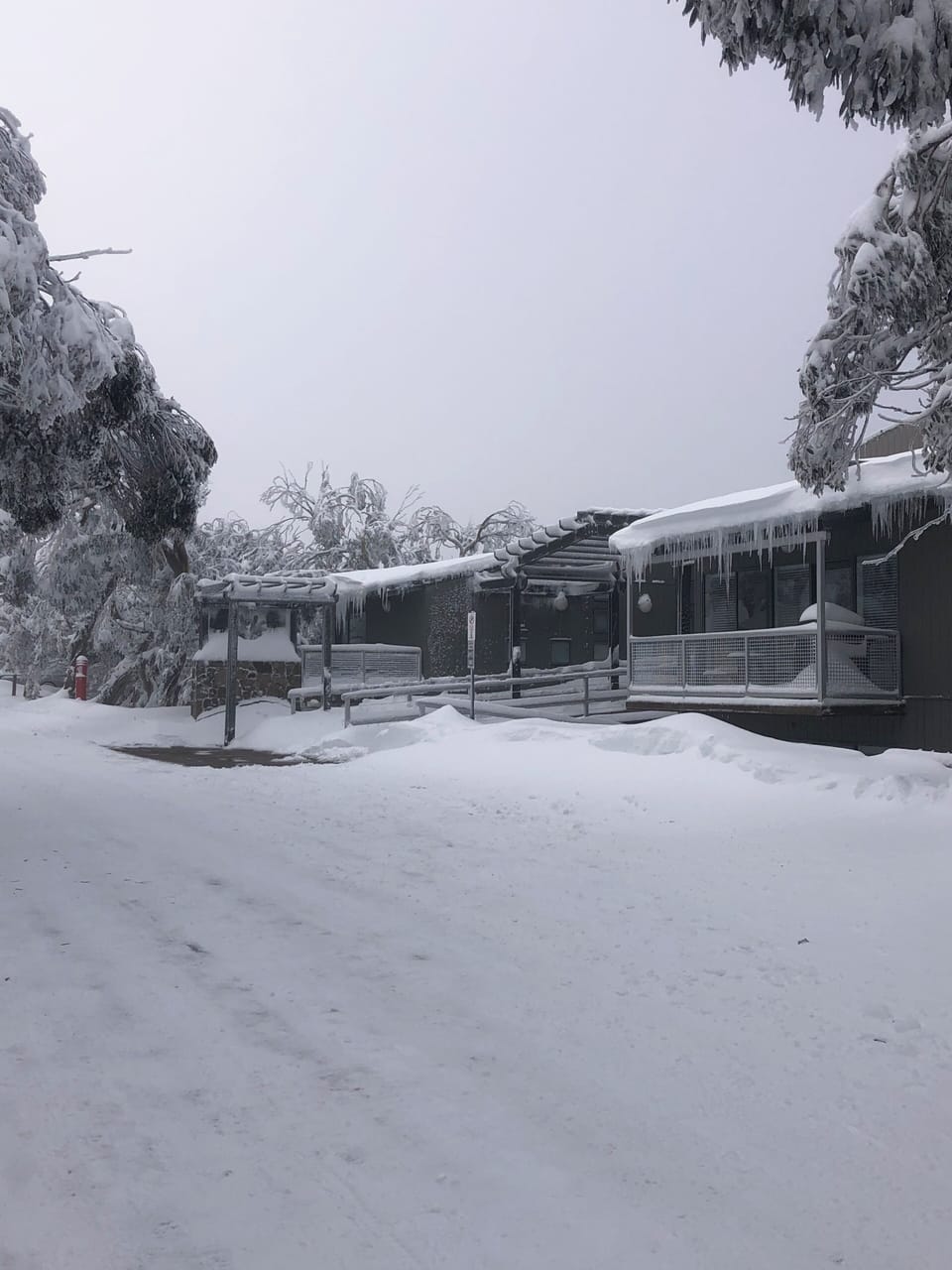Elkhorn Apartments