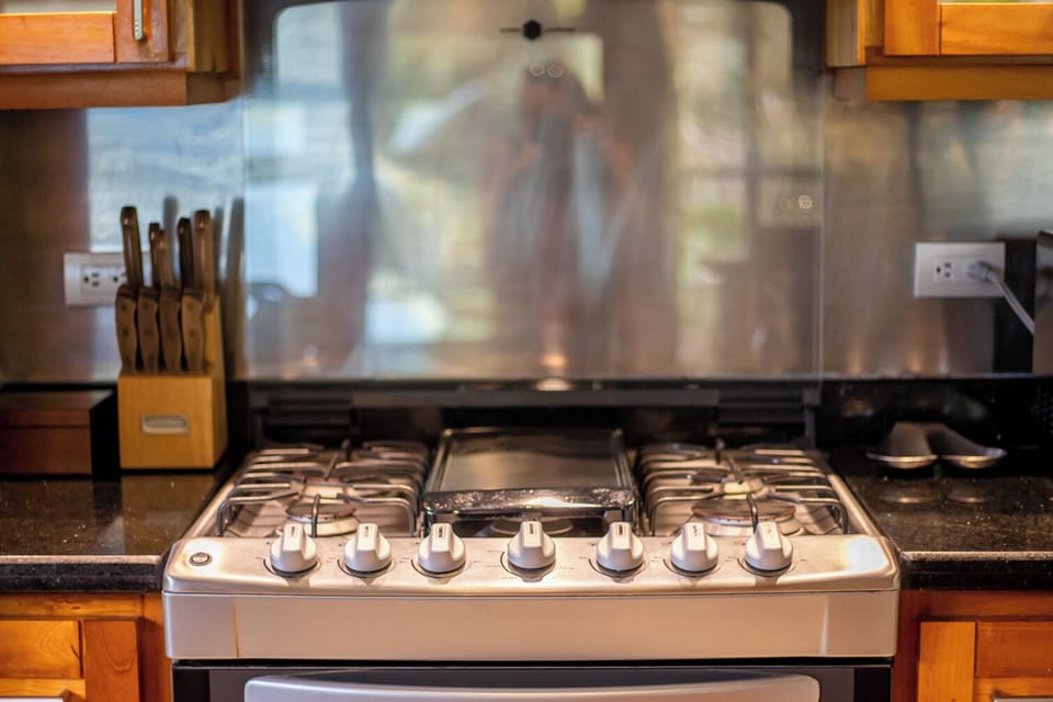 Main House kitchen (3)