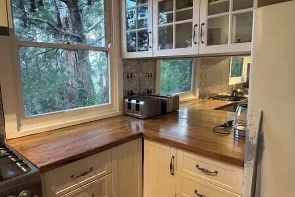 Views out kitchen windows