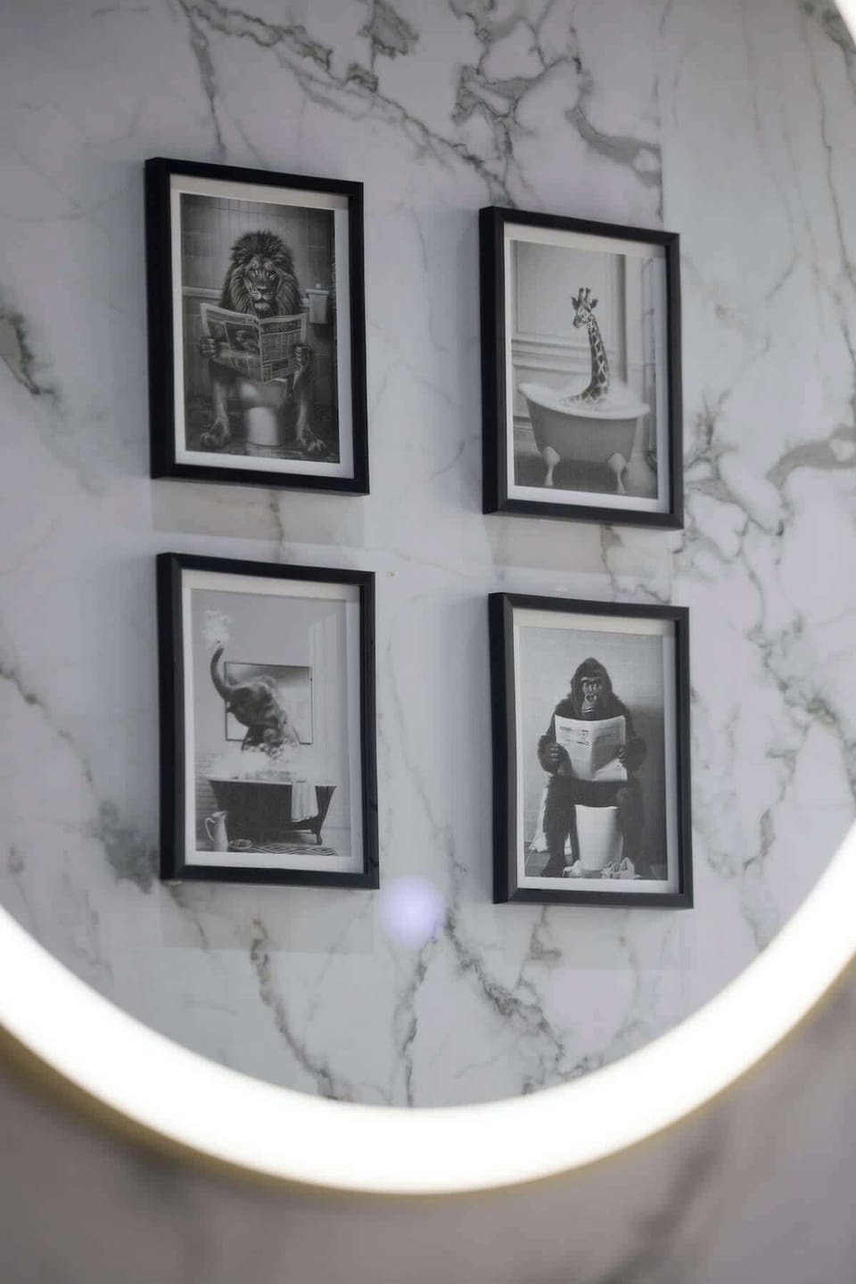 Fun pictures!