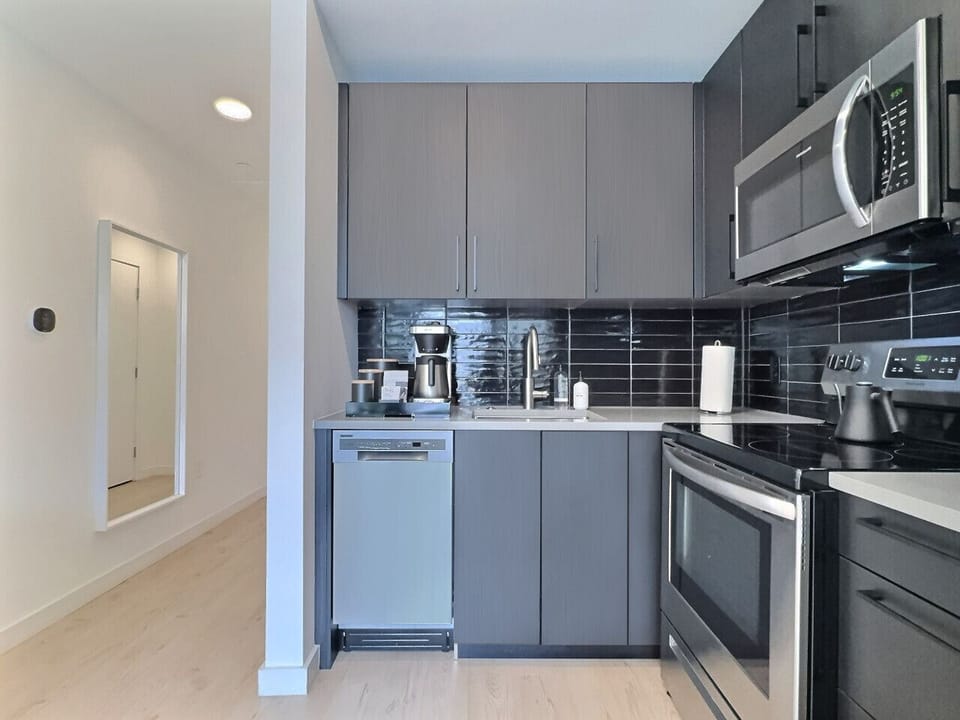 Fully equipped modern kitchen featuring stainless appliances in a furnished apartment.