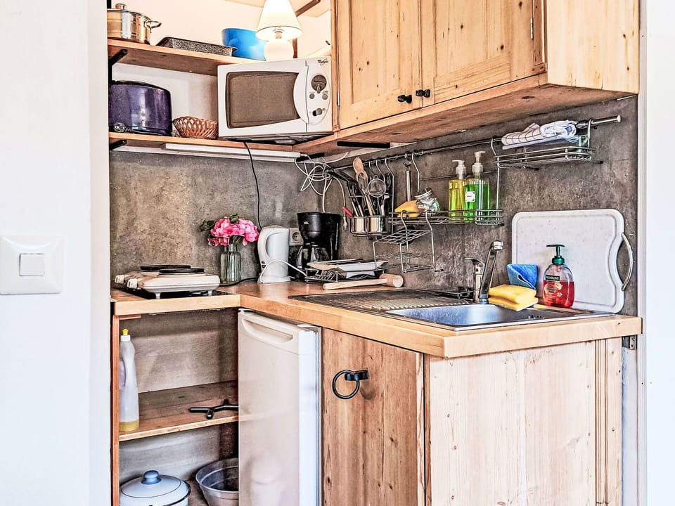Kitchen, Kitchen Appliance, Major Appliance, Wood, Countertop, Home Appliance, Cabinetry, Interior Design, Furniture, Kitchen Sink