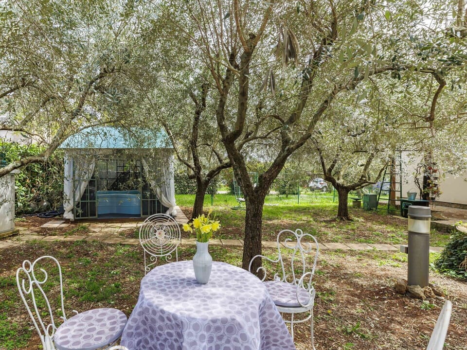 Garden, Shrub, Spring, Shade, Twig, Backyard, Lawn, Yard, Landscaping, Chair