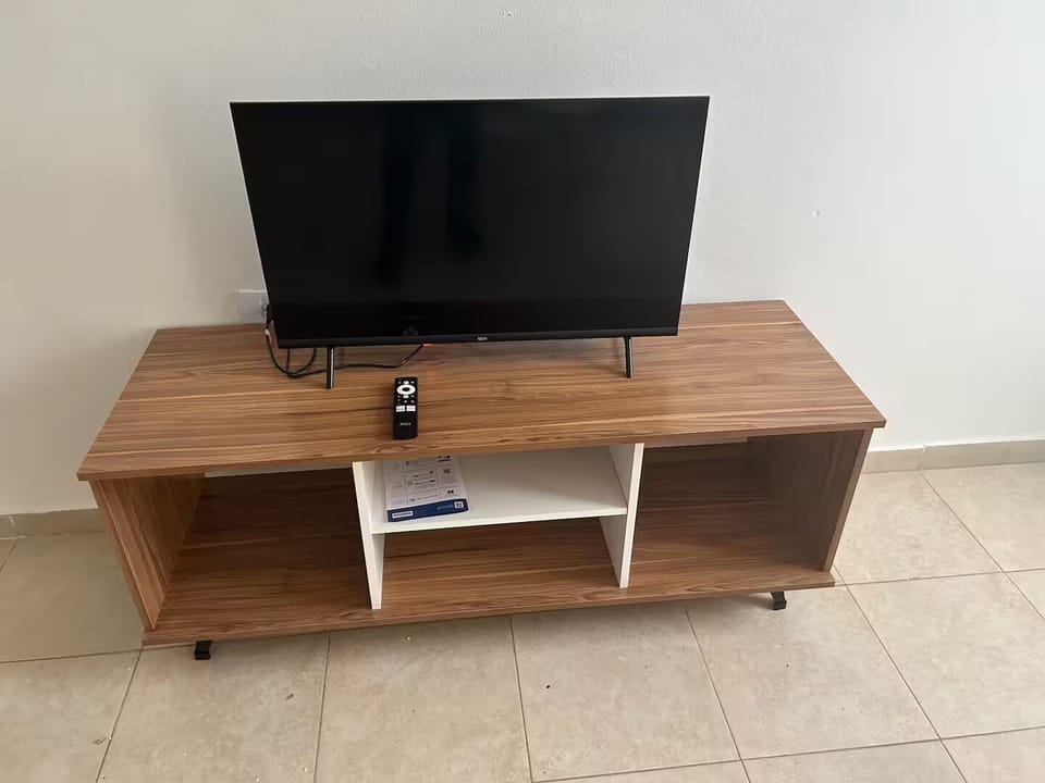 Television