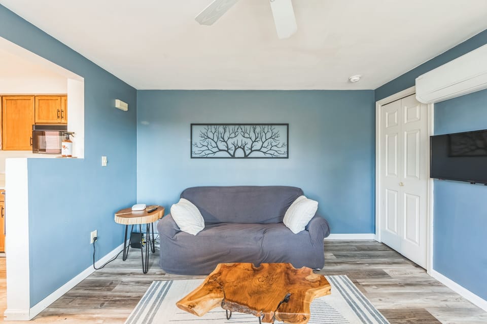 Indoors, Home Decor, Floor, Rug, Couch