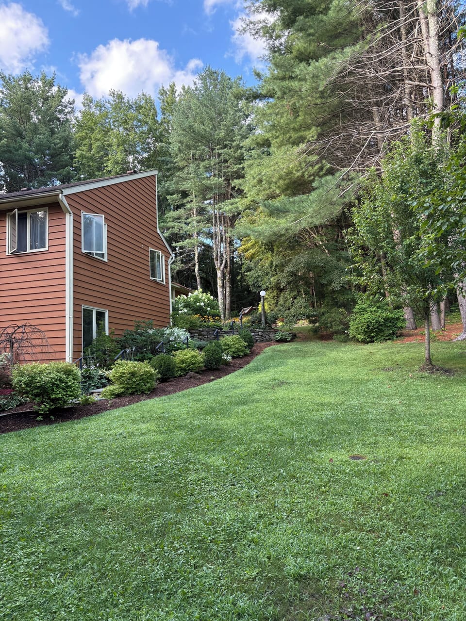 Front yard