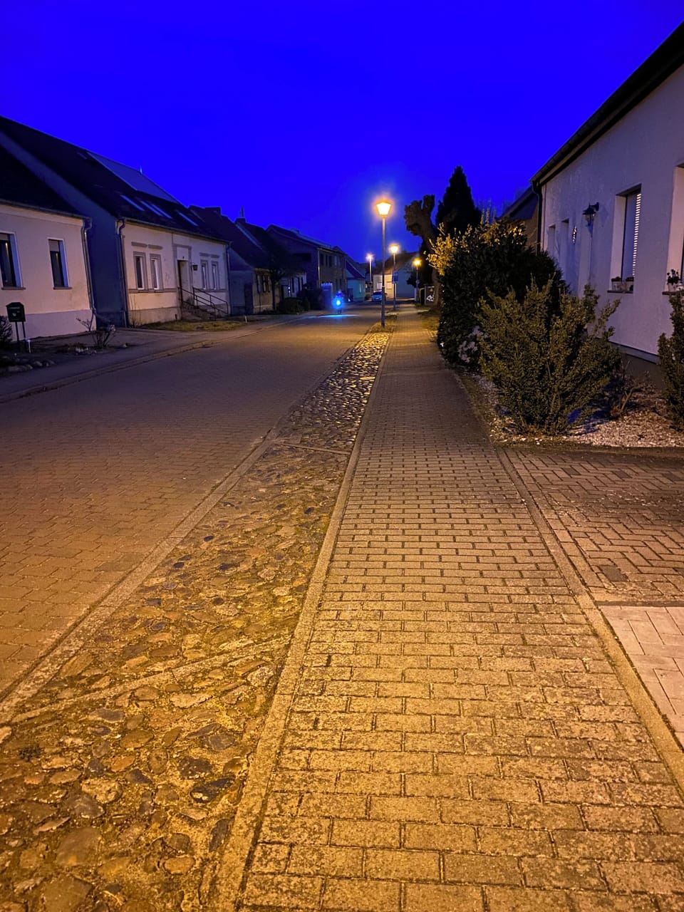 Miscellaneous