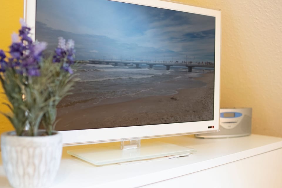 Television