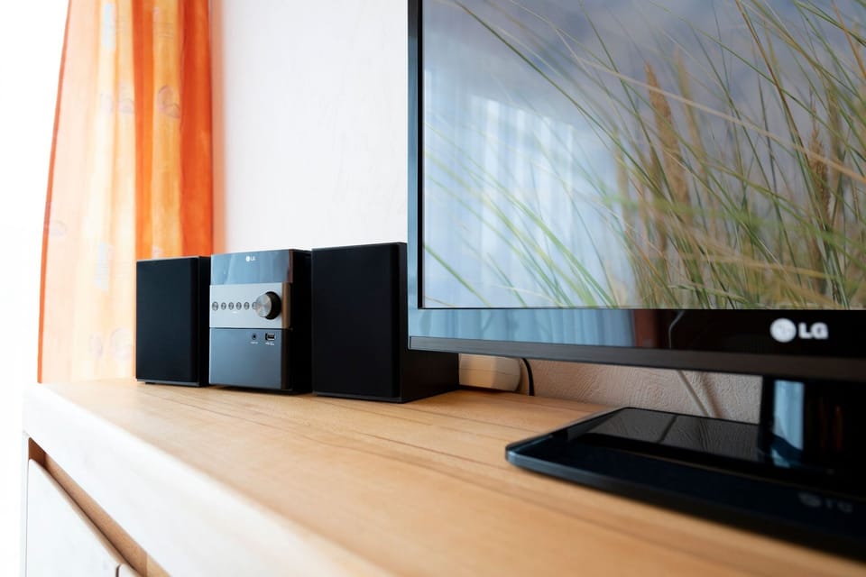 Television