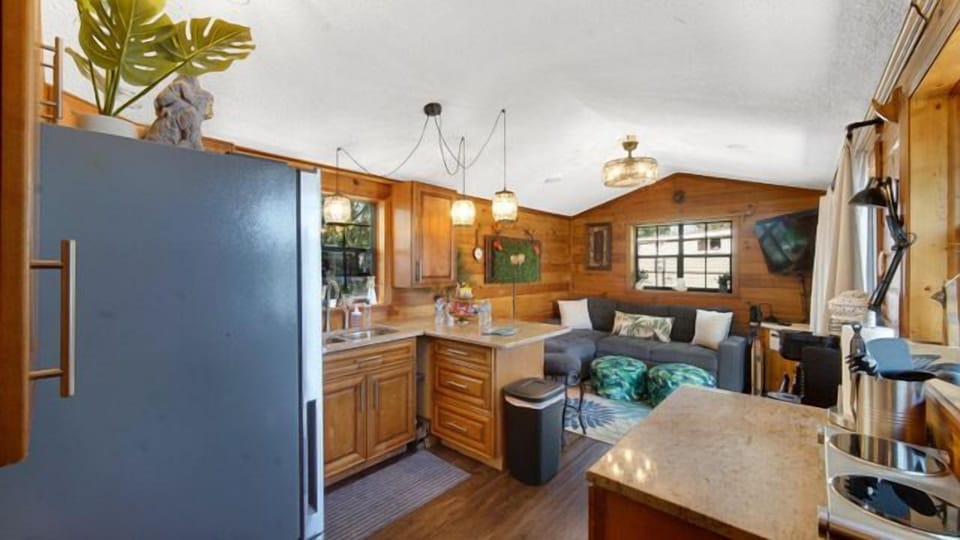A comfortable cabin living space blending warm wood textures with fun jungle style.