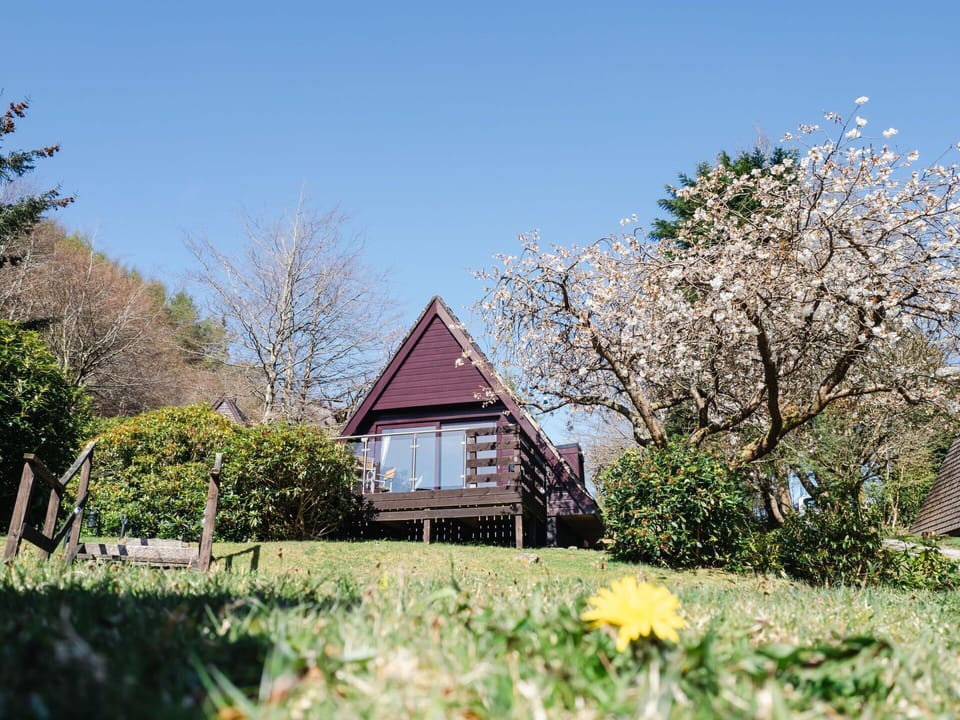 Cottage, Spring, Garden, Leisure, Farmhouse, Yard, Landscaping, Blossom, Porch, Garden Buildings