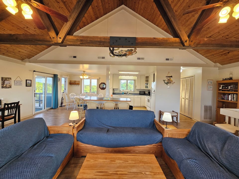 pull out sofa centered.