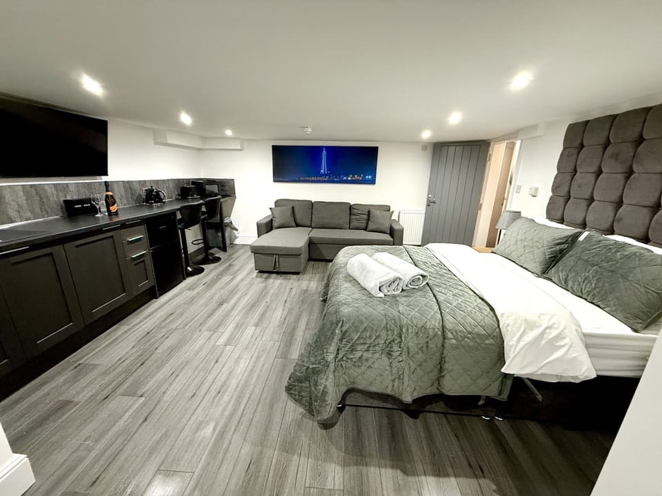 Lounge/kitchenette/bedroom