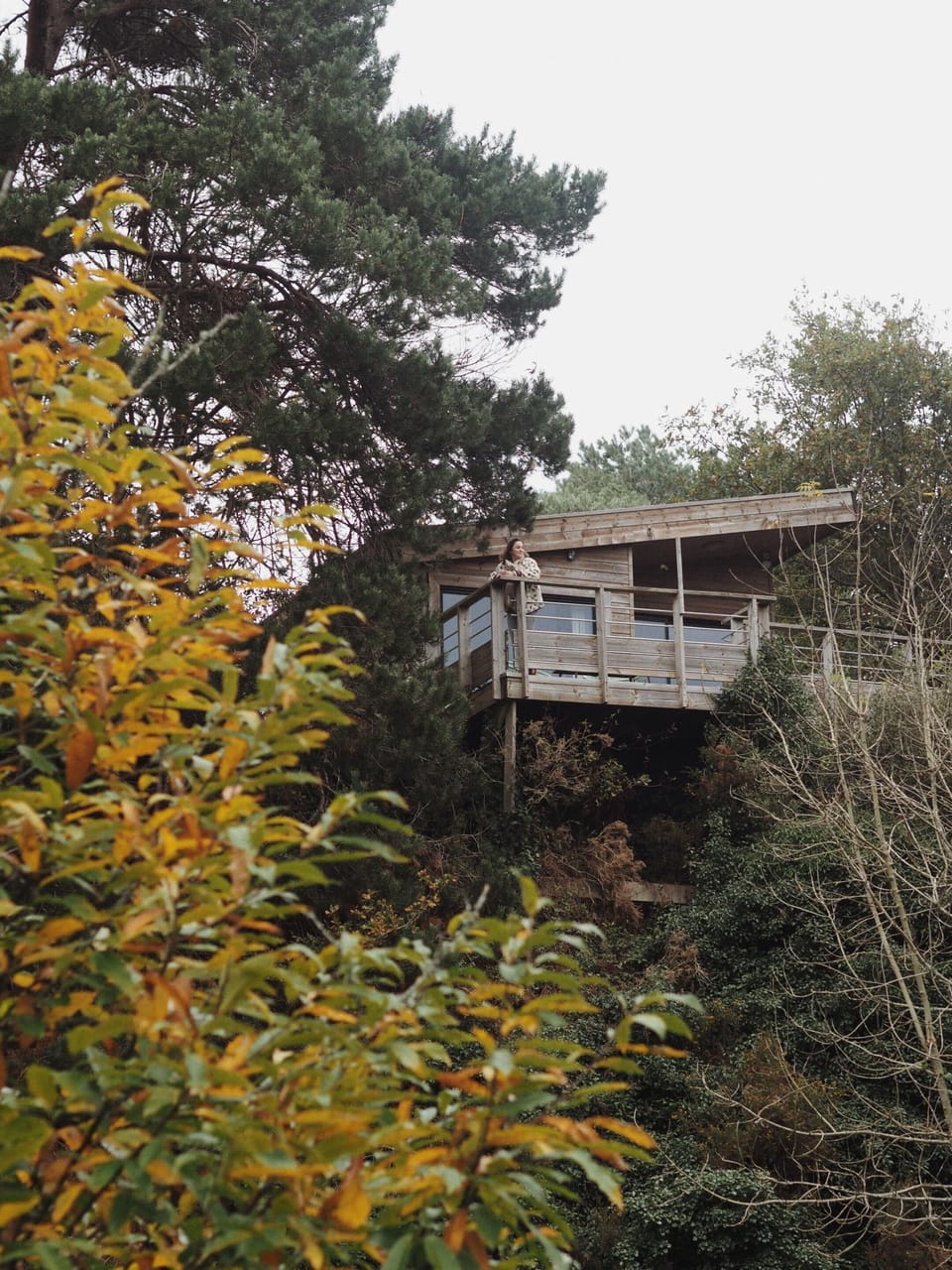A treetop ecolodge with stunning panoramic views