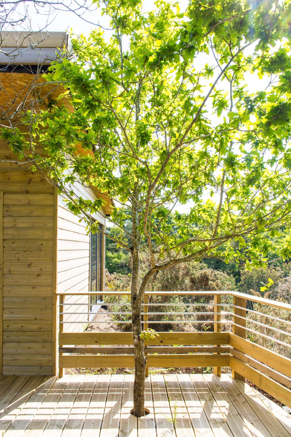 Intégration dans la nature pour la terrasse privative de la Lumin'air 1 et 2