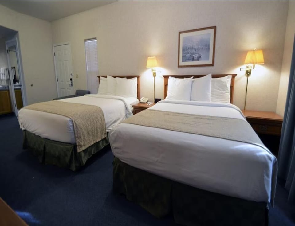 1 King Bed and 2 Queen Beds Suite Room image 2