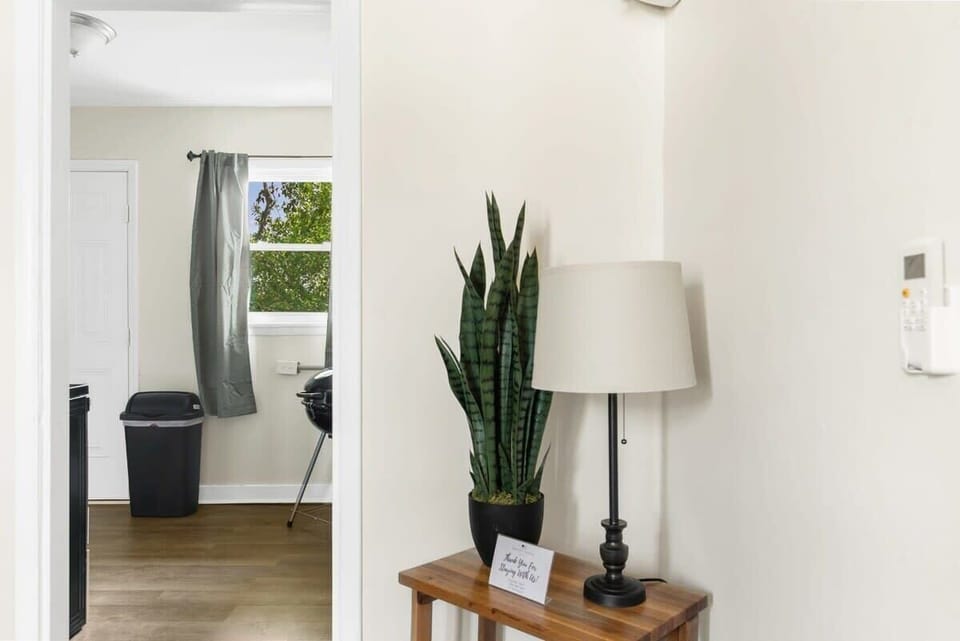 Cute corner with plant and lamp