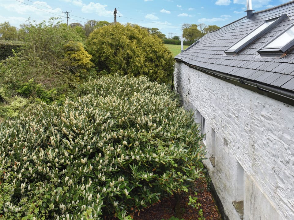 Exterior | The Coach House - Sprytown Cottages, Lifton
