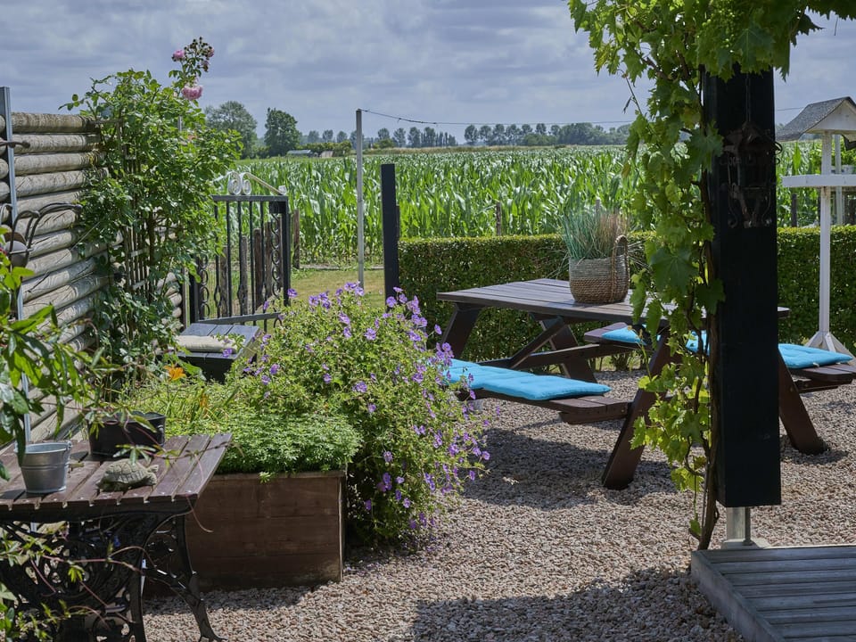 Garden [summer]