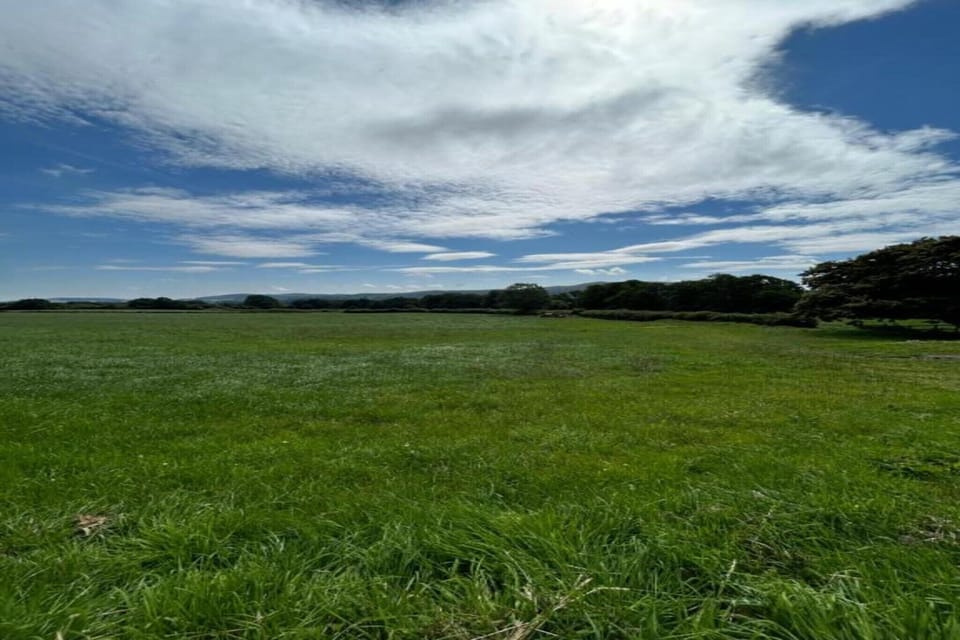 Surroundings [summer] (1-5 km)