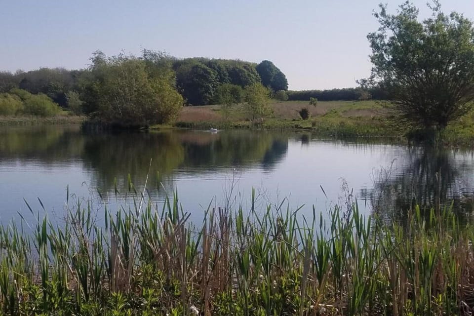 Region [summer] (>5 km)