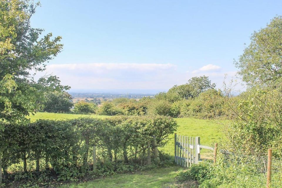 Region [summer] (>5 km)