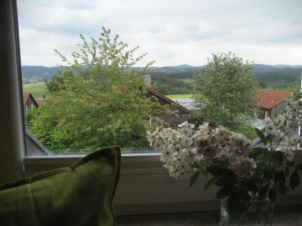 View from the window